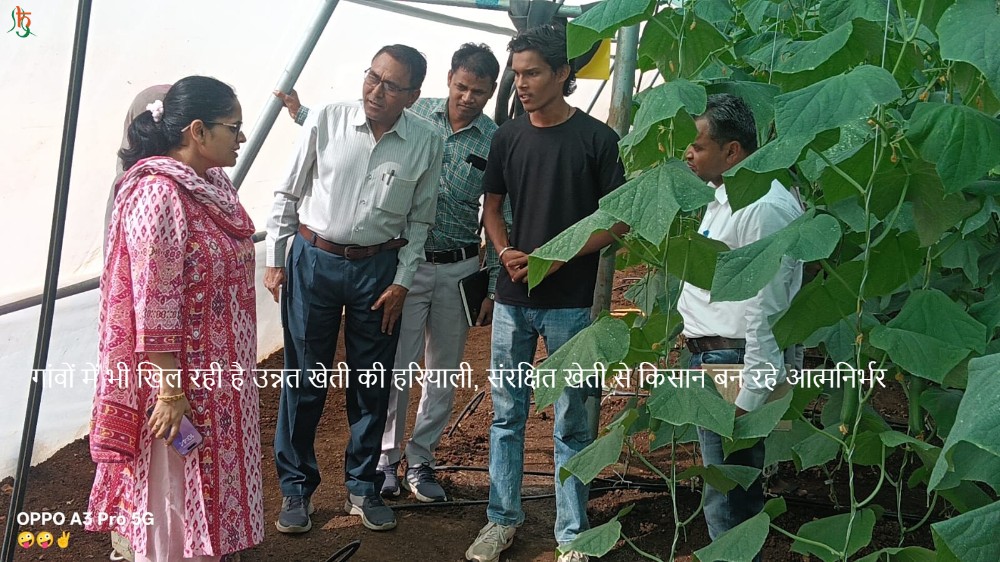 गांवों में भी खिल रही है उन्नत खेती की हरियाली, संरक्षित खेती से किसान बन रहे आत्मनिर्भर